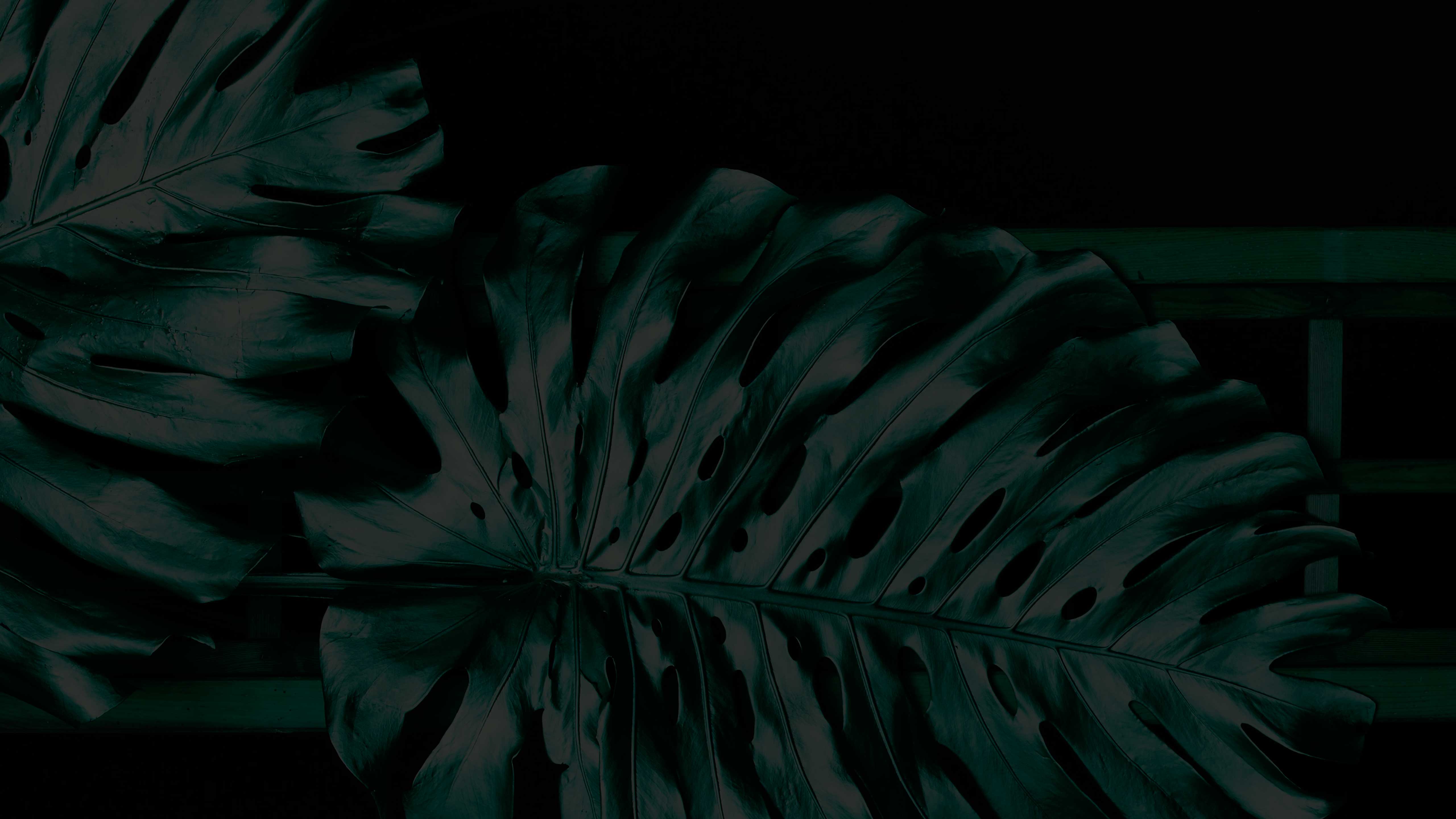 Imagen con efecto parallax